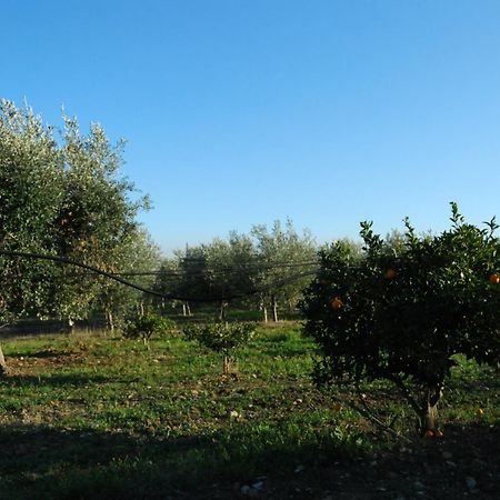 Agriturismo - B&B "La Funicolare" Francavilla Marittima Exterior photo